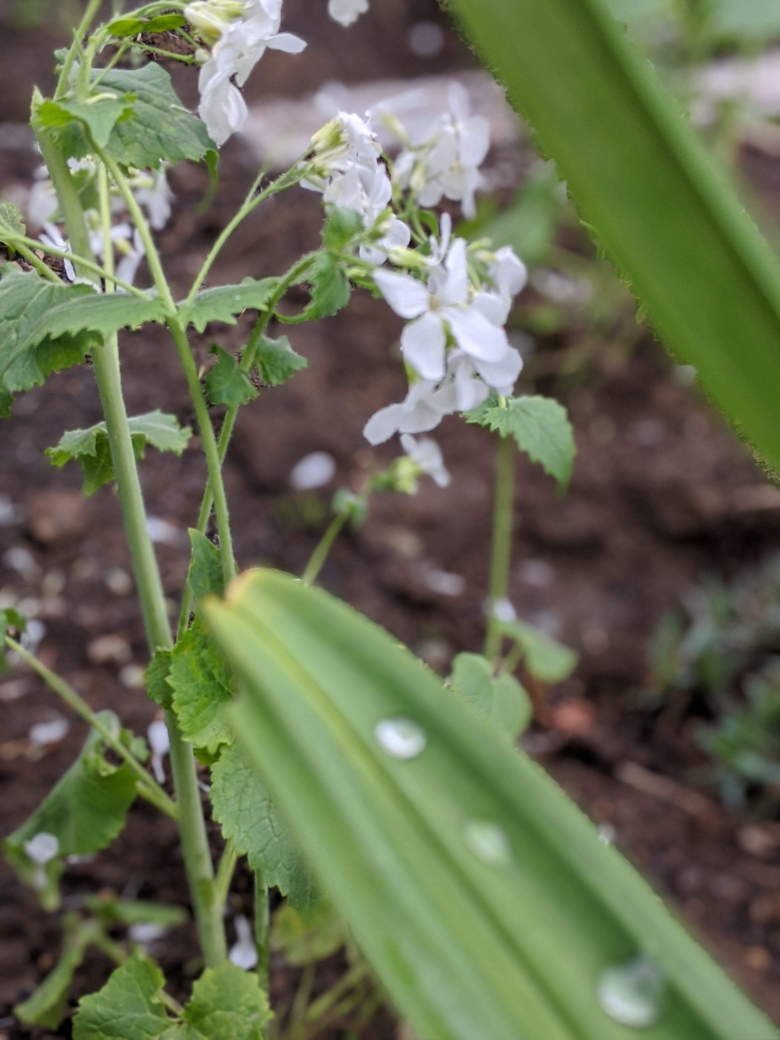 00100lrPORTRAIT_00100_BURST20200423170155806_COVER