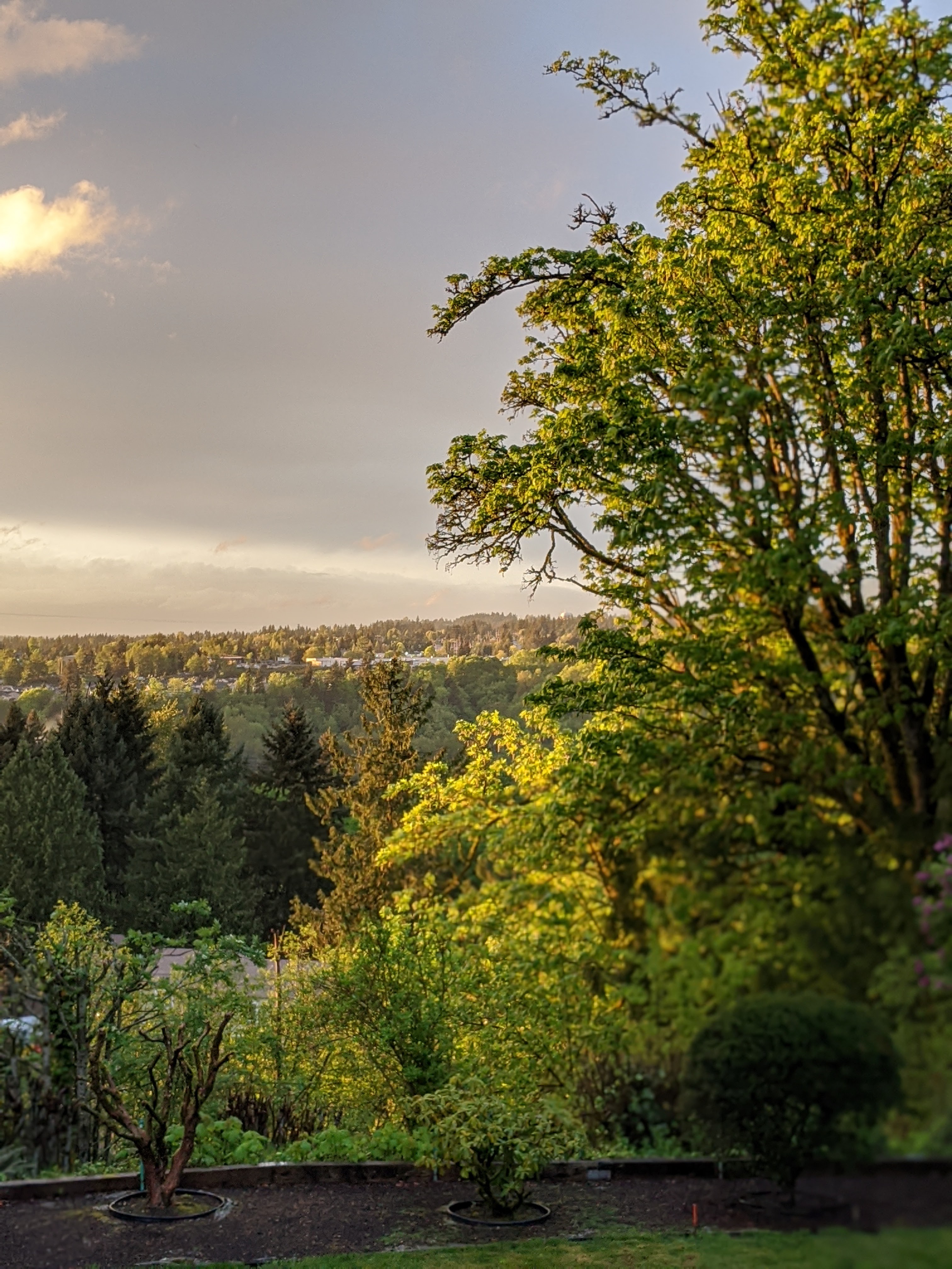 00100lrPORTRAIT_00100_BURST20200502195959617_COVER