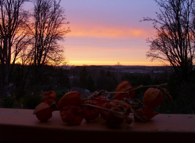 Shaping the River Into Words