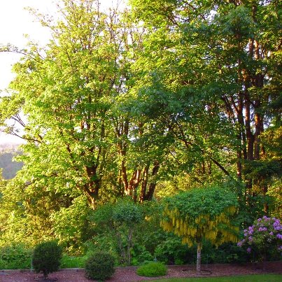 When Your Life is Under Construction