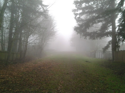 Why Gray is Better than Black and White