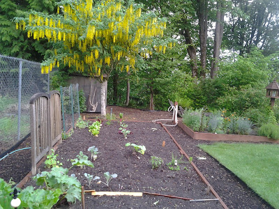 No Telling–A Photo Essay