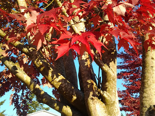 Hunting for Red in October, Second Edition