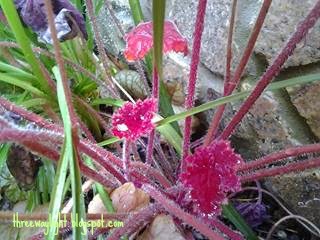 The World Awaits You