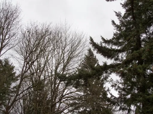 January, Latitude 47