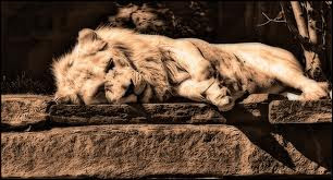 Social Justice-Getting Past the Stone Table