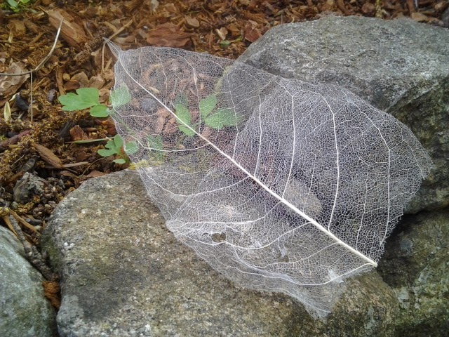 Deck Time–When God Reminds You He is More Than Enough