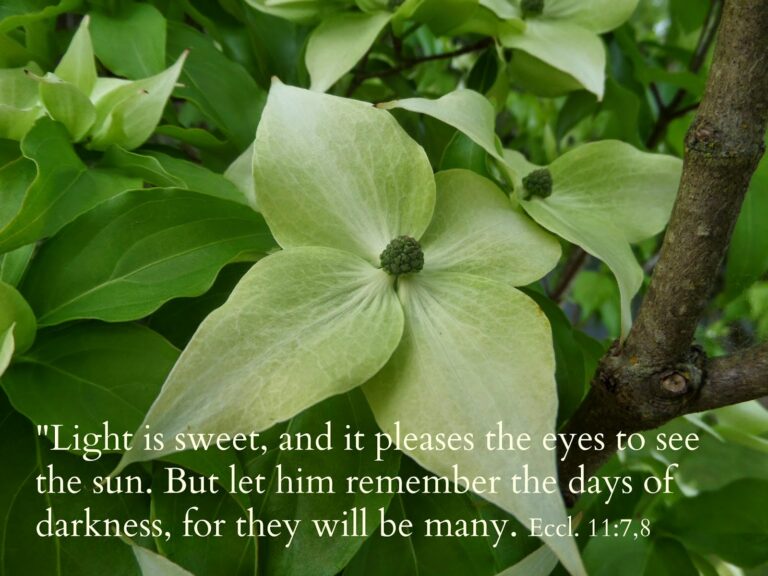 Finding our Way in the Dark