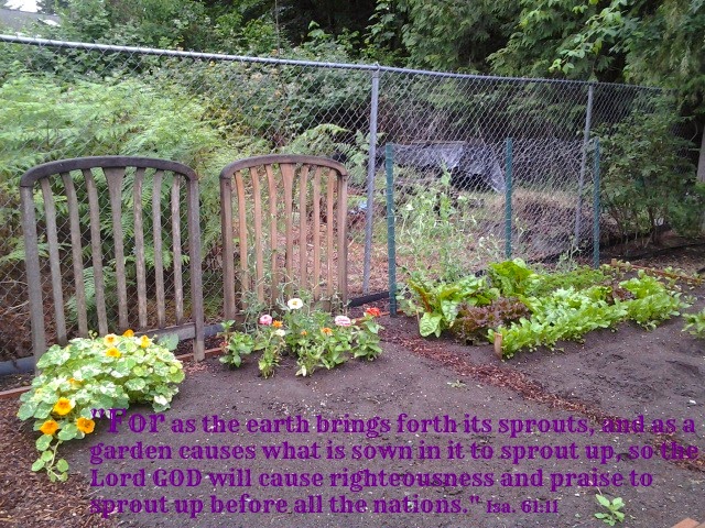 His Praise Goes Everywhere