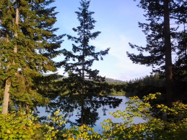 Bits and Pieces of Beauty