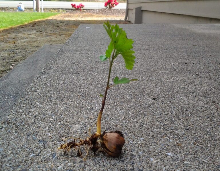 The Power of a Simple Question