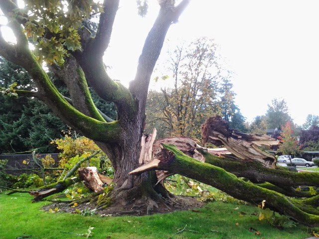 When the Words Fall Apart