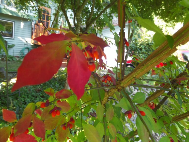 Hunting for Red in October, 3rd Edition