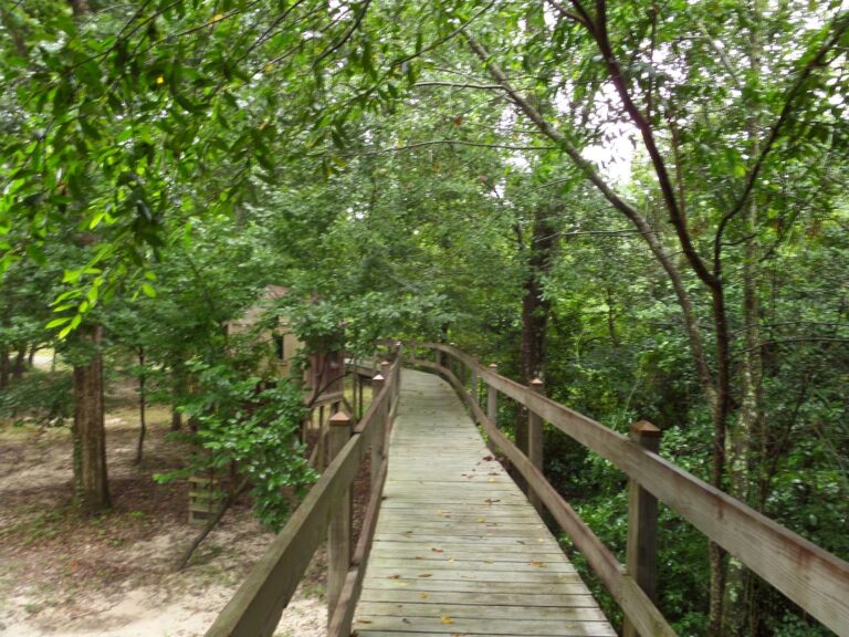 Where is Home? A Hobbit-y Treatise