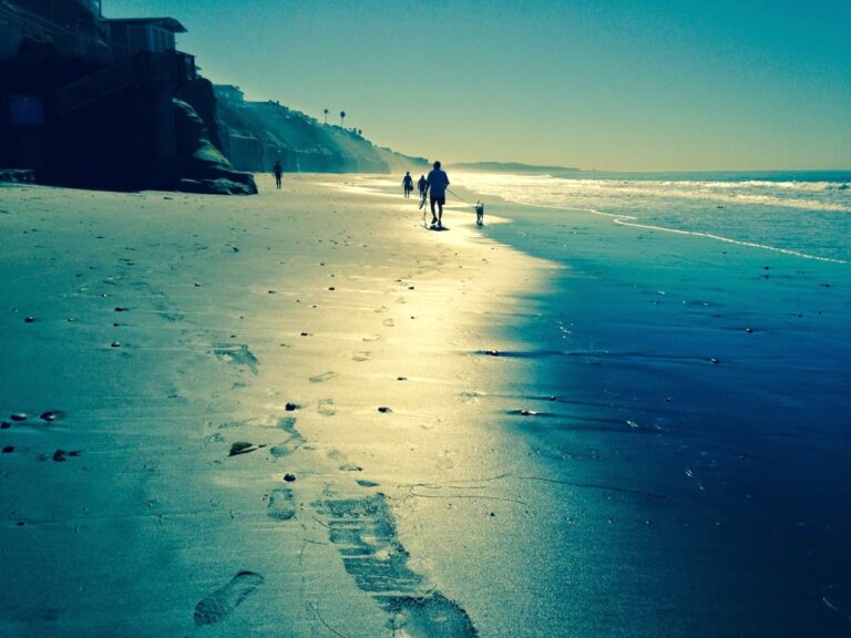 If I Won a Golden Globe Award