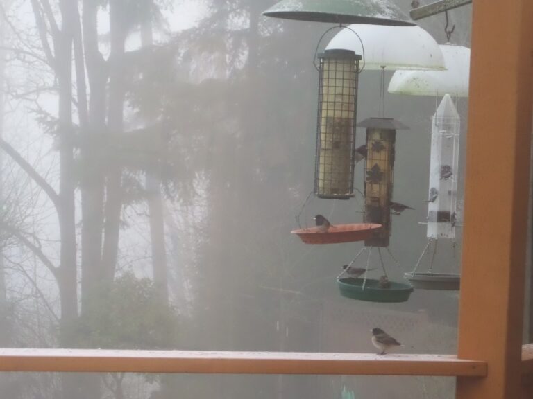 How to Receive an Unexpected Gift