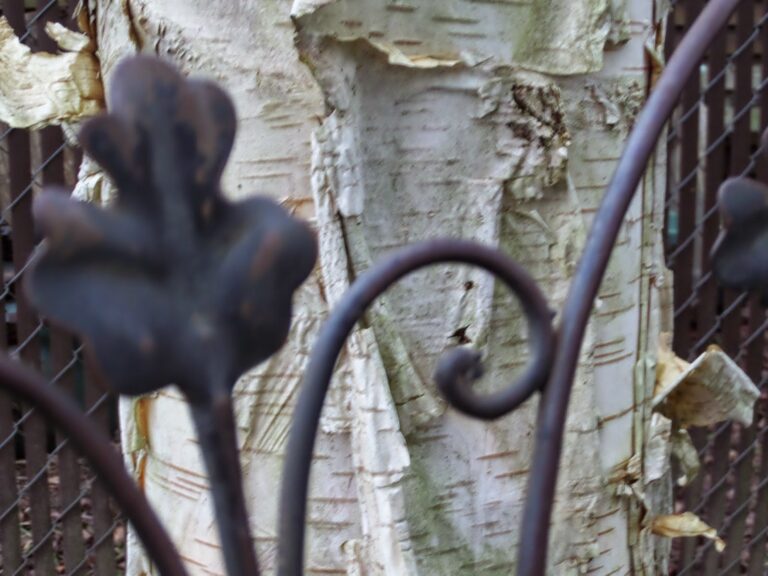 When You’re in the Middle of a Transition