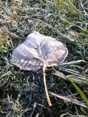 When Life is Like Ice Skating