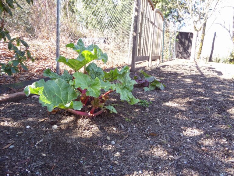 Discovering Dreams {on #Writing}