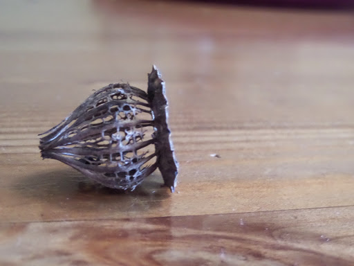 Listening, Slowing, Telling and Showing