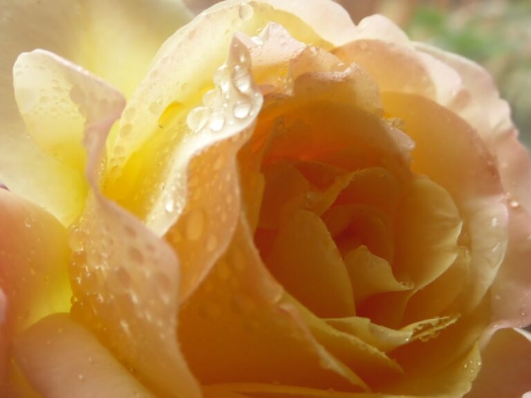 From My Journal #2–Getting Good Grades