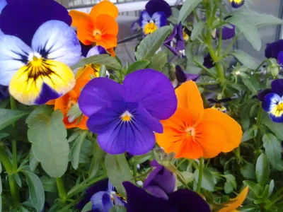 I Meant to Thank You**