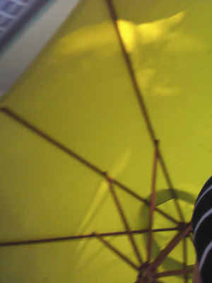 I’ve Been Asking {a #poem}