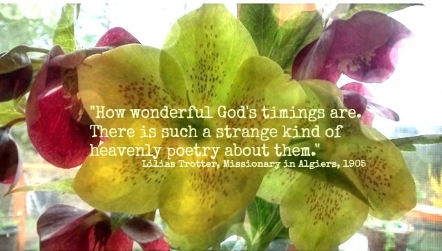 The Most Remarkable Missionary You’ve Never Heard Of