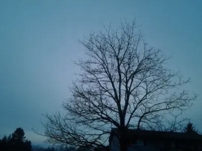 Physical Science {a #poem}