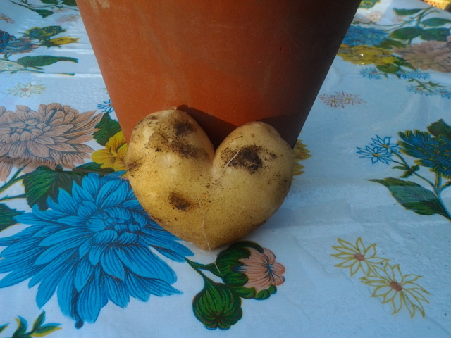 On Prayer, Potatoes and Pulling Weeds