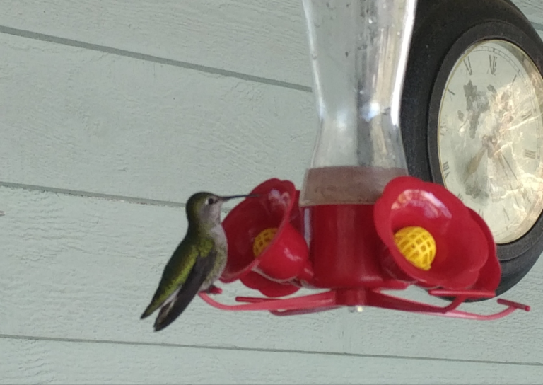 65 is Just a Number {a #poem}