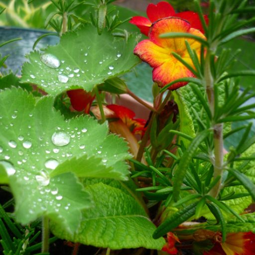 Peter & I, Good Friday {a #poem}