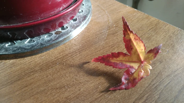 When God’s Word Goes Haywire {Operator Error}