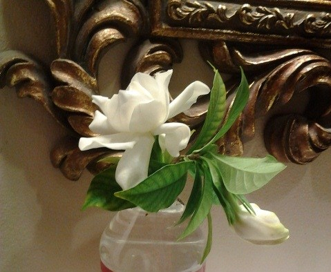 To the Tune of ‘Lilies’, {a #poem}