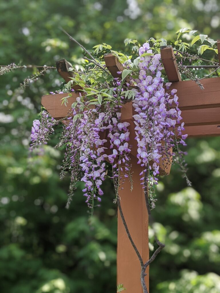 Summer is for Listening