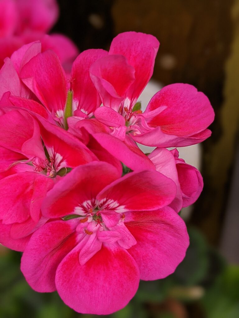 Finding My Name~an Easter Week Story