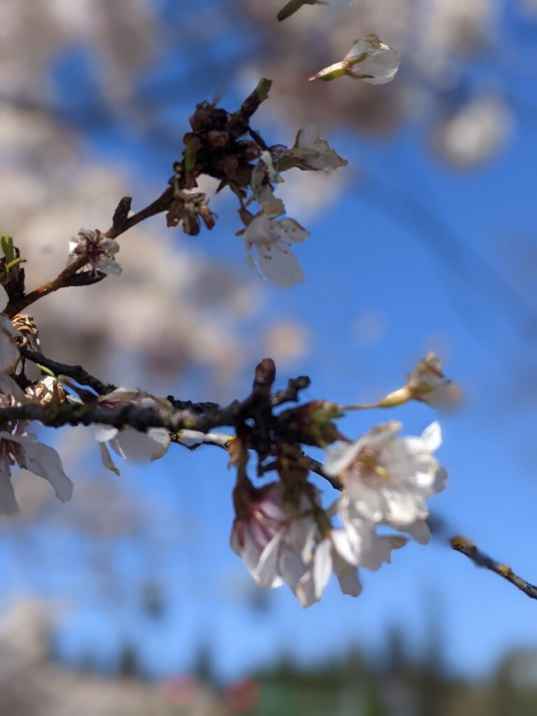 Read & Pray in Your ‘Walking Around Life’