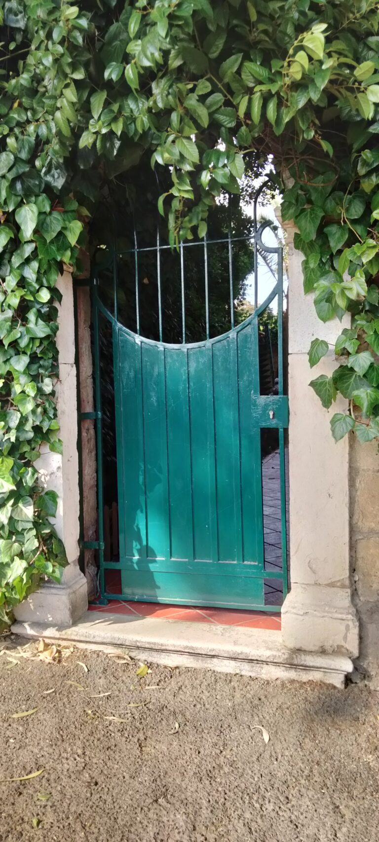 Random Ramblings the Week of My 70th Birthday