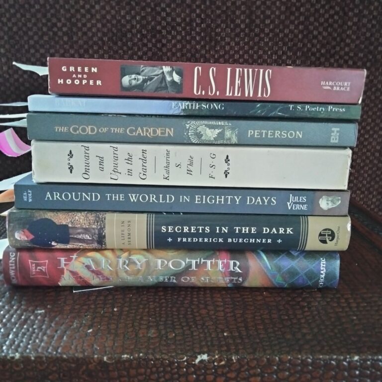 On Reading Harry Potter for the First Time