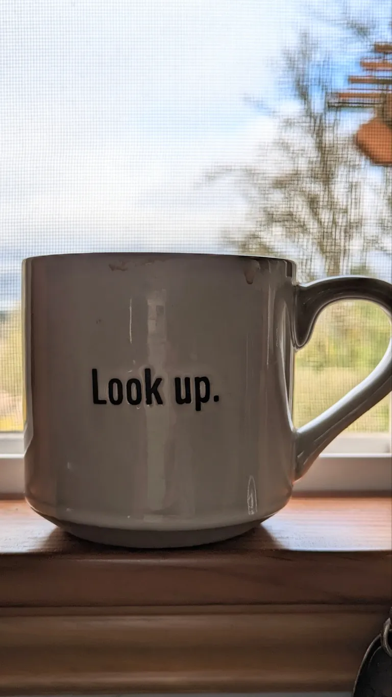 The Daily News {{a #poem}}