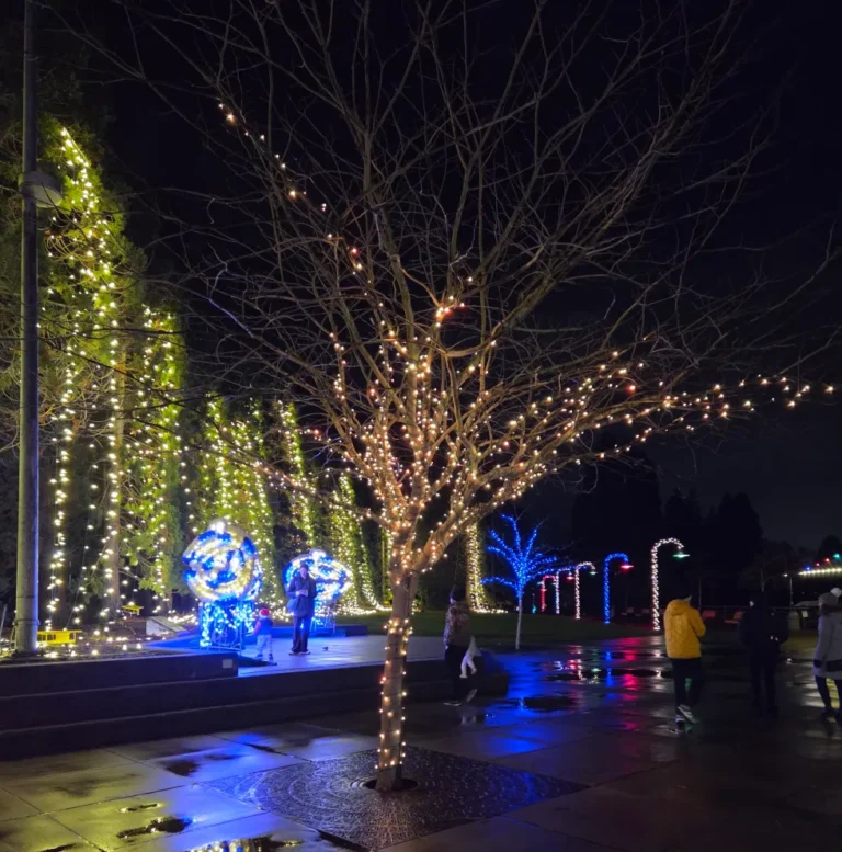 Pilgrim Verse-A Short Rhyme for the New Year